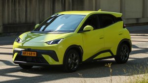 BYD Dolphin Surf