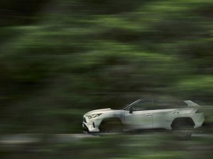 De groeistuipen van de Toyota RAV4