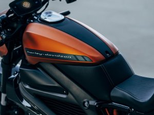 Zwitser rijdt 1723 kilometer in 24 uur op elektrische Harley-Davidson