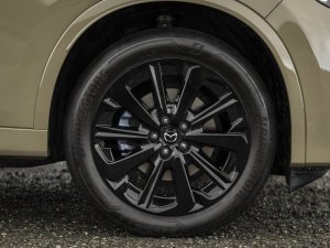 TEST Mazda CX-60 - hoe zachte heelmeesters kinderziekten lieten genezen