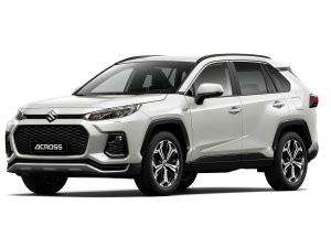 Koop de Toyota RAV4 PHEV bij een Suzuki-dealer voor 6000 euro korting