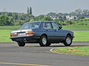 Van alle nieuwe auto's die in 1981 op de markt komen, steekt er een met kop en schouders bovenuit