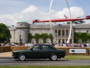 Van alle nieuwe auto's die in 1981 op de markt komen, steekt er een met kop en schouders bovenuit