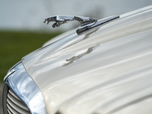 Jaguar-rijder Mathijs: "BMW is voor mij synoniem voor ellende"
