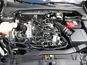 Ford Focus Wagon vs. Kia Ceed Sportstourer: welke is goedkoper, zuiniger en comfortabeler?