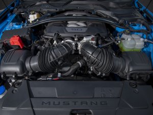 TEST BMW M4 vs Ford Mustang: waarom muscle cars eeuwig jong blijven