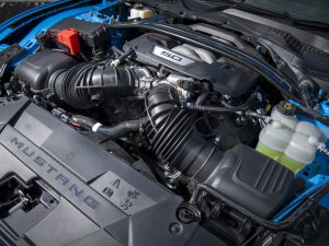 TEST BMW M4 vs Ford Mustang: waarom muscle cars eeuwig jong blijven