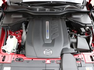 TEST Mazda CX-60 vs. Kia Sorento - druktemaker contra de rust zelve