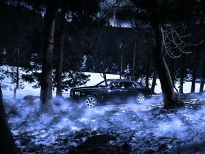 Spoken door het bos met een Rolls-Royce Phantom