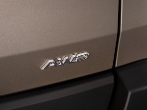 TEST - Deze Toyota gaat de strijd aan met de bestverkochte EV ter wereld
