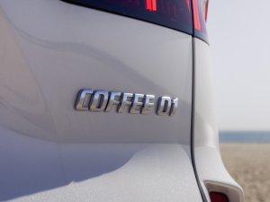 Wey Coffee 01 (2023) test: formaat BMW X5 voor de prijs van een BMW X3