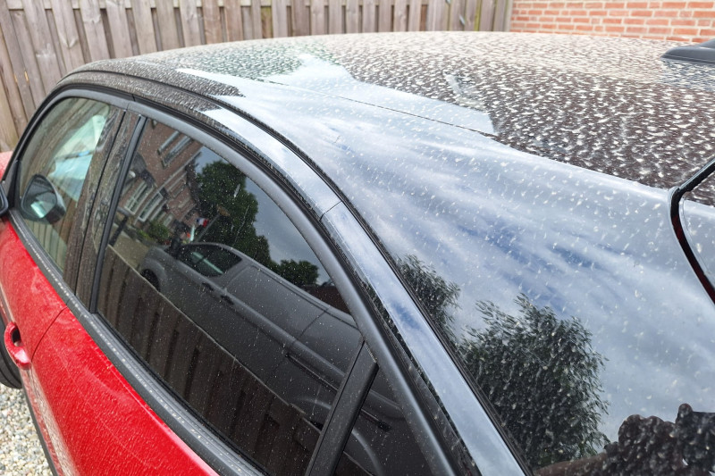 Saharazand: hoe kwam het hier terecht en hoe krijg je het van je auto af?