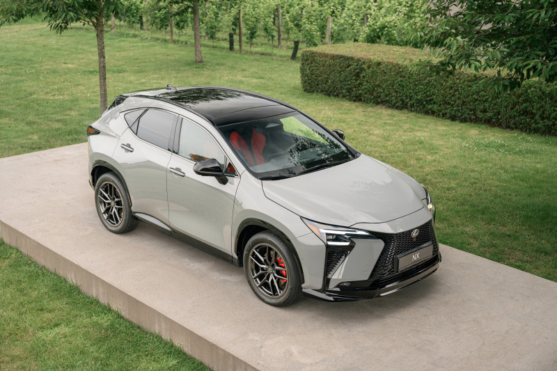 Lexus NX vertoont grensoverschrijdend gedrag en dat vind jij fijn