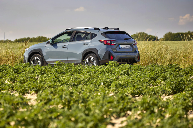 Waarom de Subaru Crosstrek (2024) tot ons verdriet geen deuk in een pakje boter zal slaan