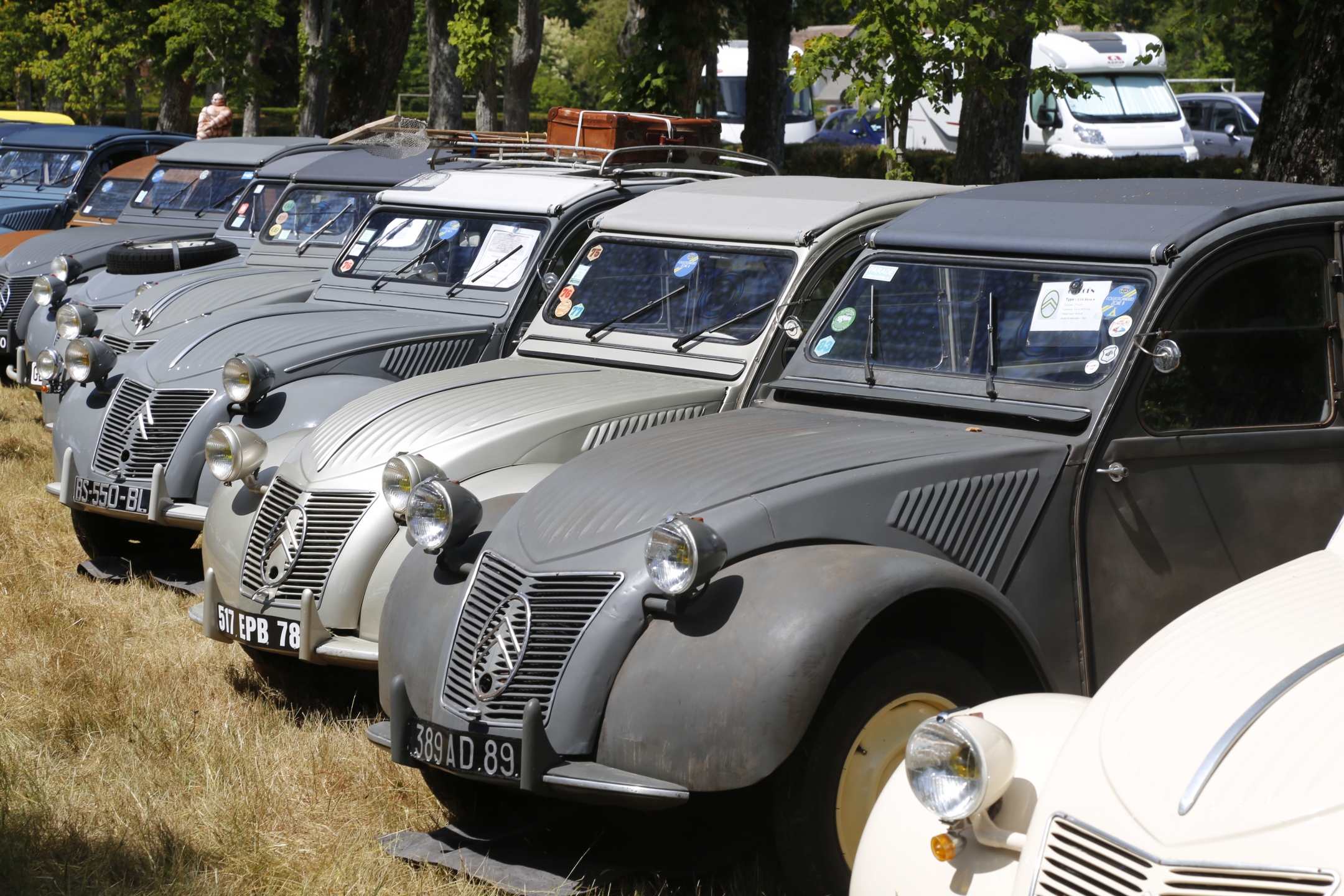 Rassemblement de Siècle: 100 jaar Citroën