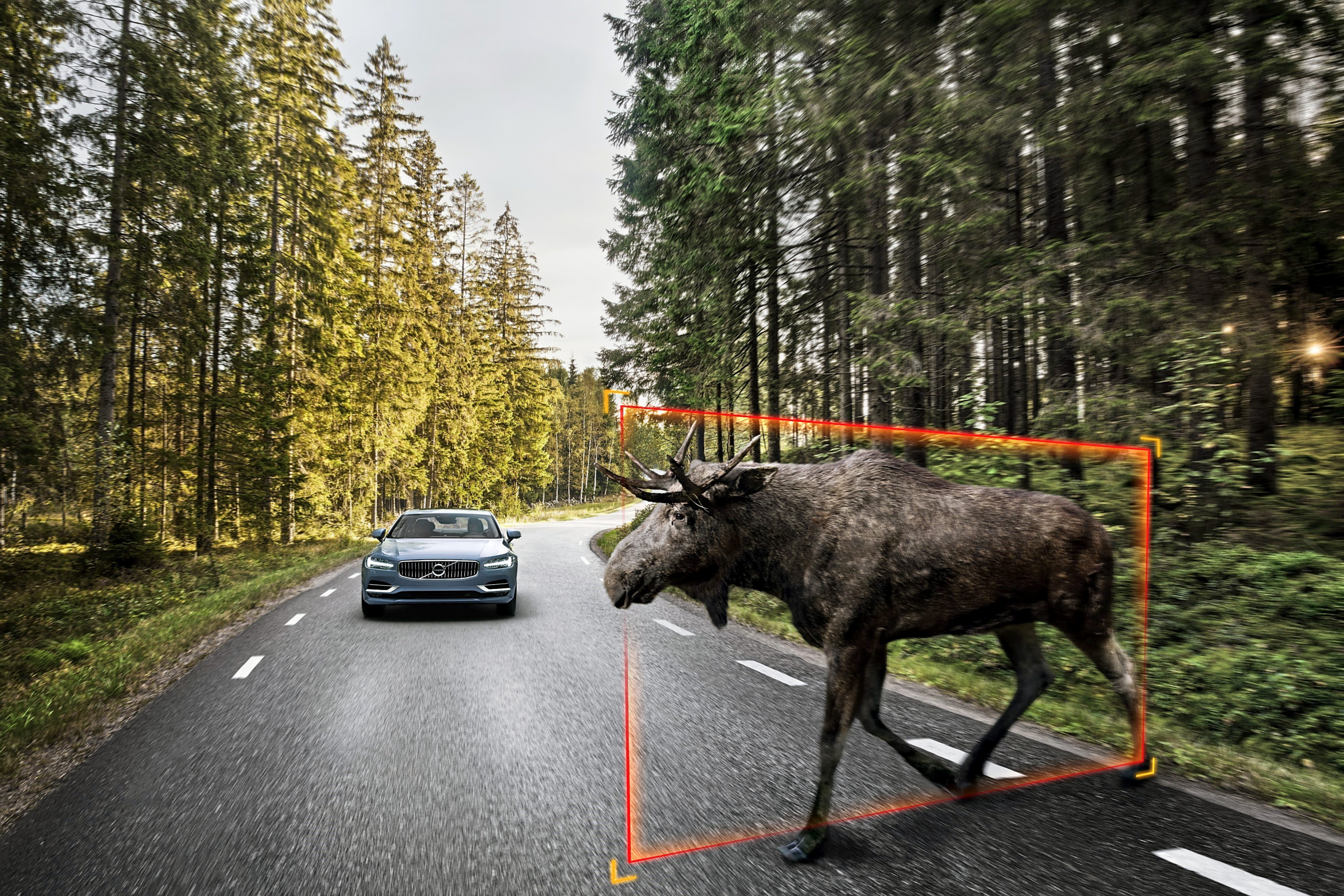 Wat doen de veiligheidssystemen van een auto? Deel 1: cruise control en rijassistenten