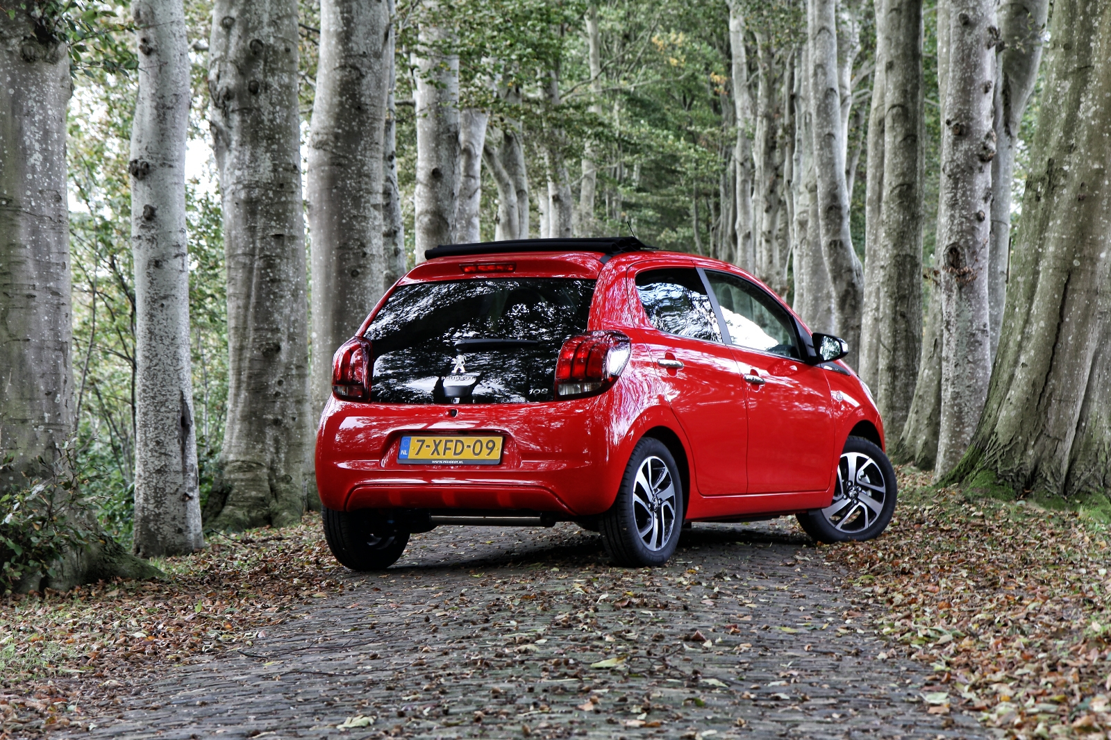 Autoverkopen: zijn compacte stadsauto's een bedreigde dwergsoort?