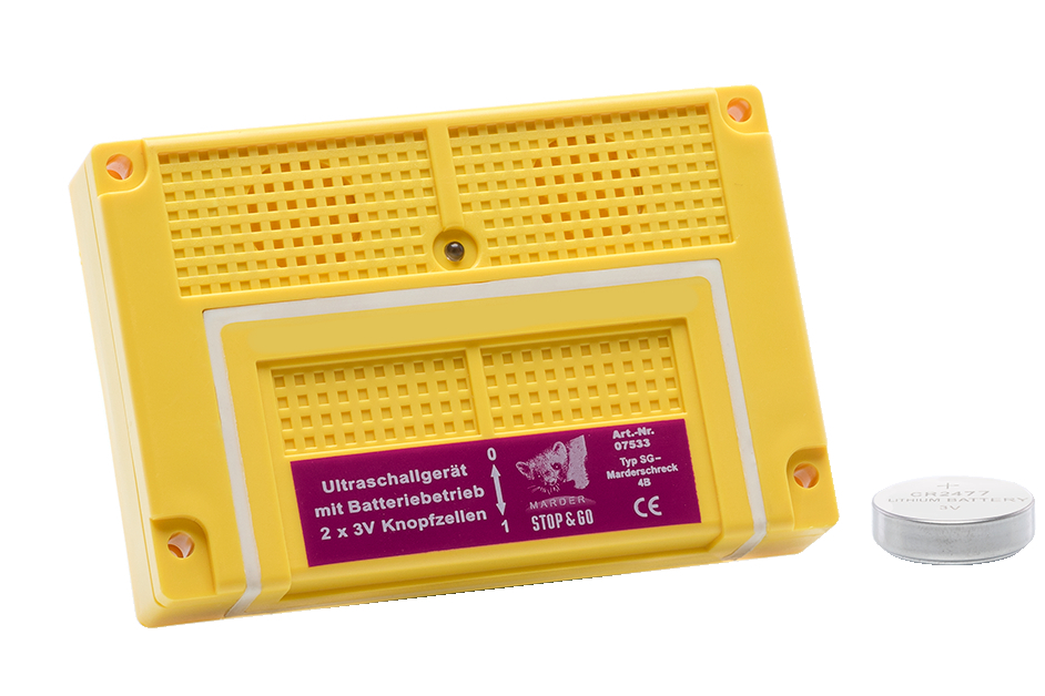 Steenmarter in auto: 5 slimme tips om hem te verjagen