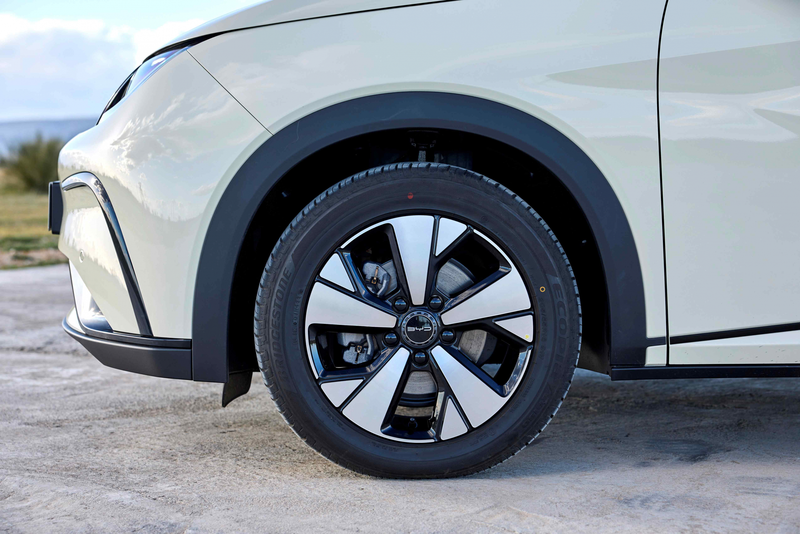 Waarom de BYD Dolphin een hele goede private lease aanbieding is