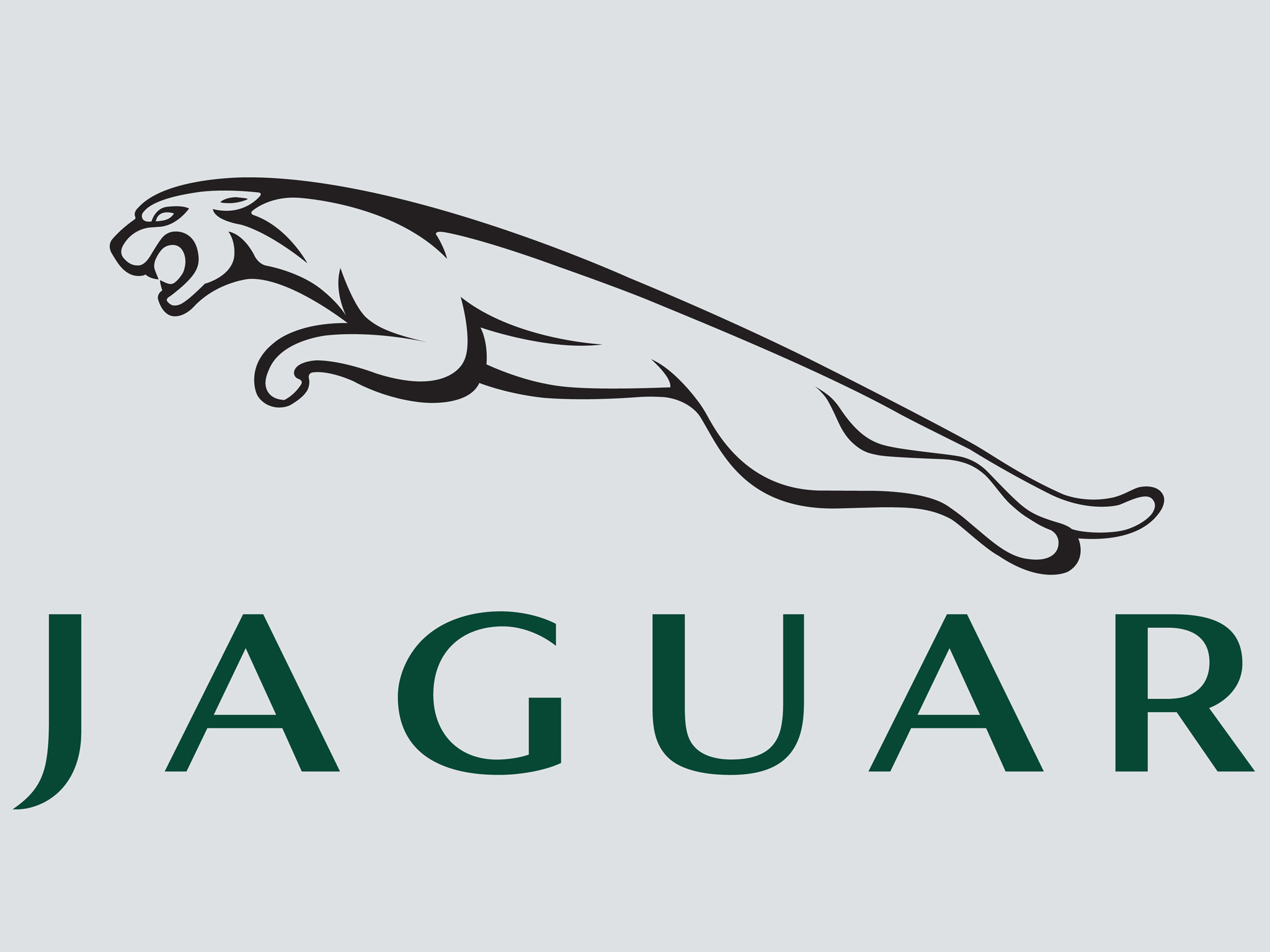 Wat betekent het Jaguar-logo? En waarom veranderde Jaguar in 1945 zijn naam?