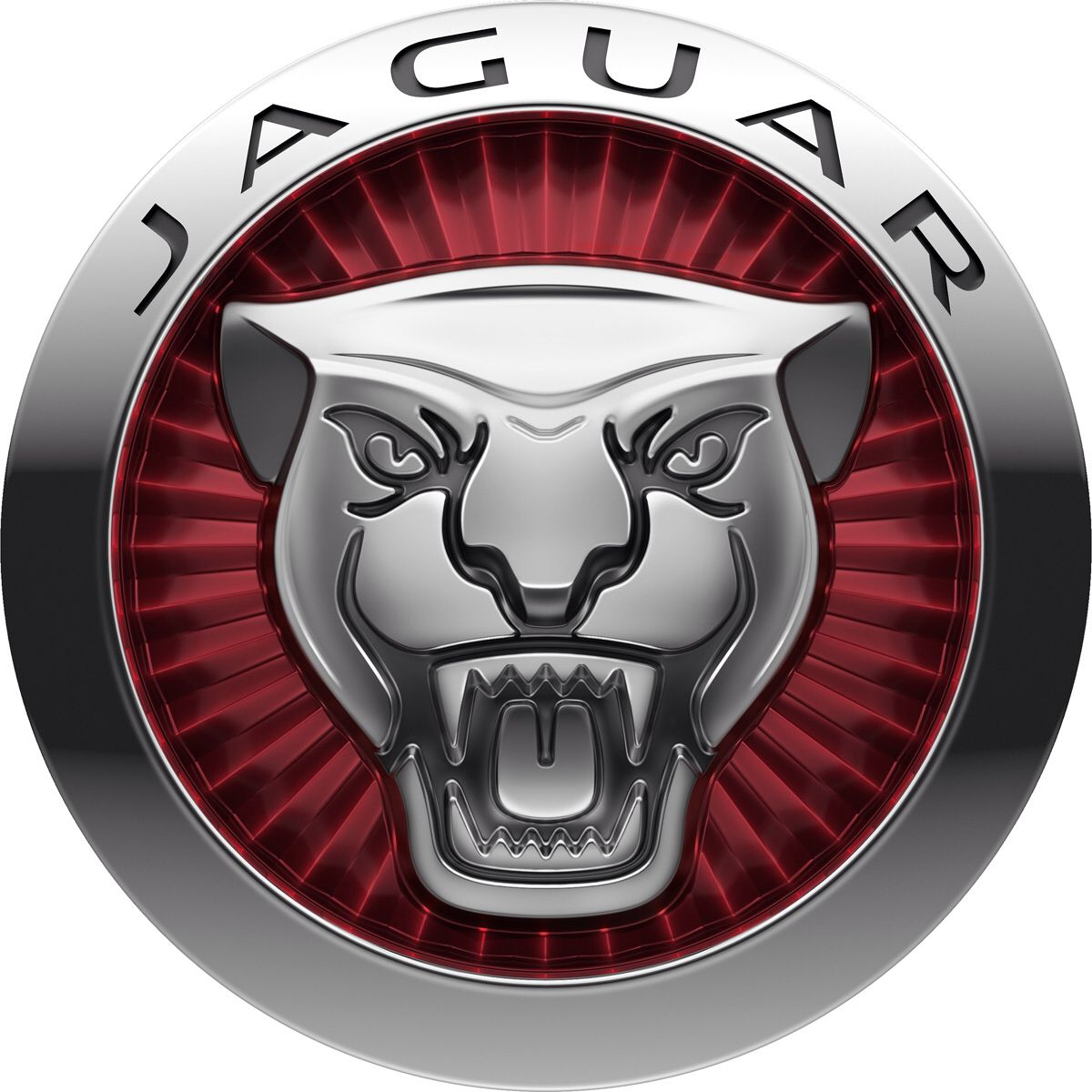 Ervaren persoon Zonder hoofd Bachelor opleiding Wat betekent het Jaguar-logo? En waarom veranderde Jaguar in 1945 zijn  naam? - AutoReview.nl