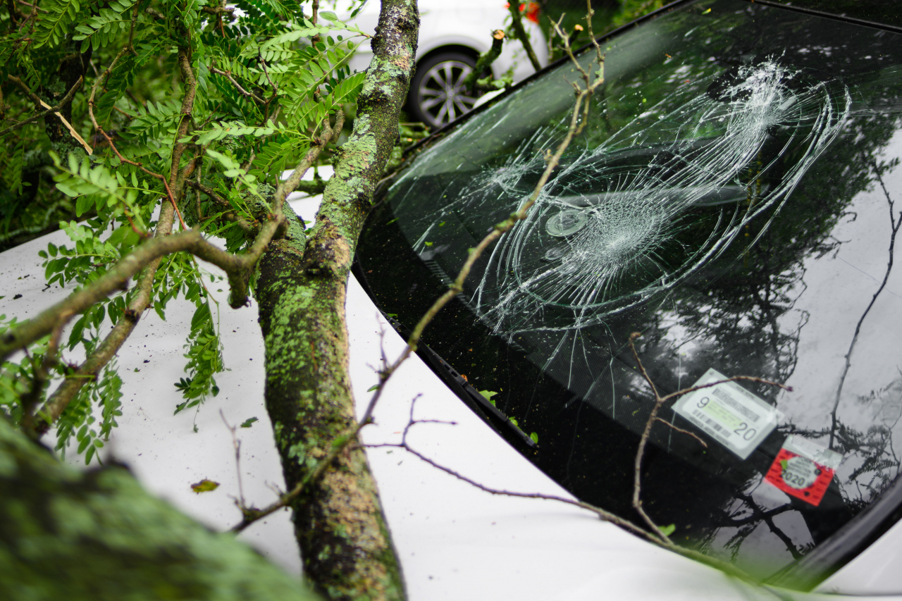 Help, storm Dudley of Eunice blaast een boom op je auto. wie gaat dat betalen?