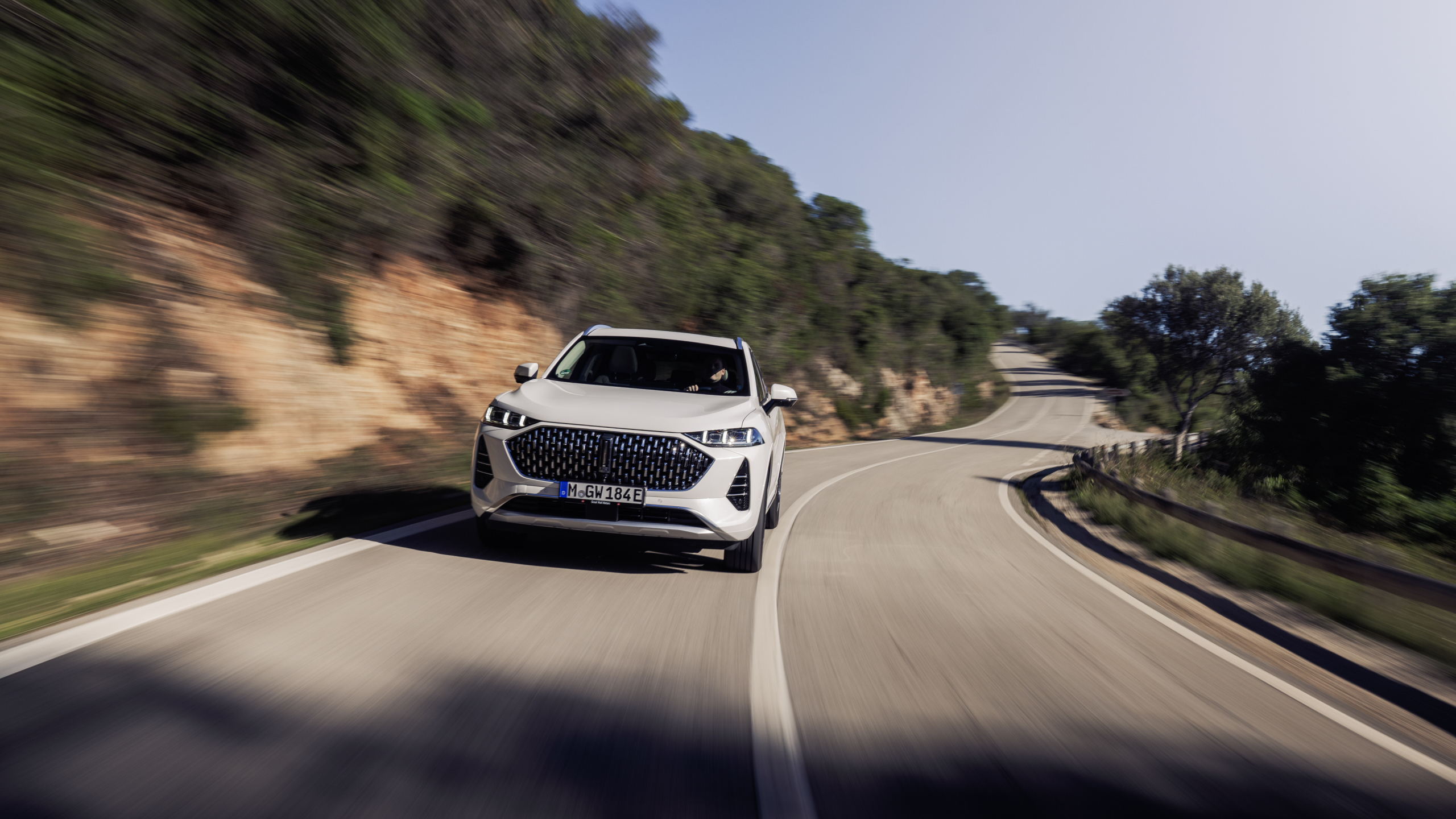 Wey Coffee 01 (2023) test: formaat BMW X5 voor de prijs van een BMW X3